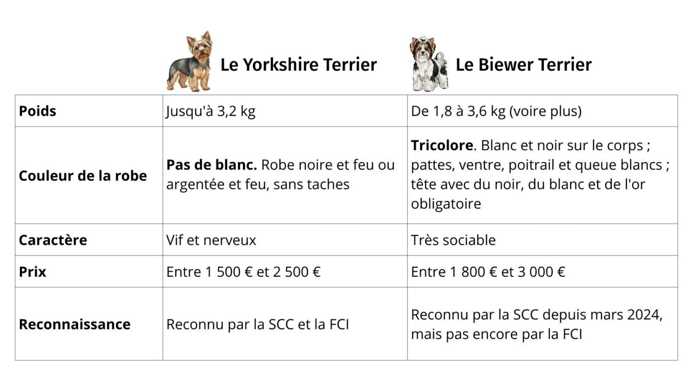 tableau comparatif différence biewer yorkshire